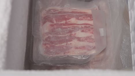 person putting meat package inside freezer. close up