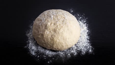 la levadura de la masa de la pizza