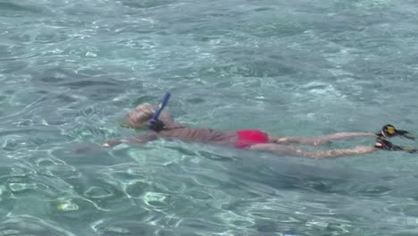 snorkeling in bora bora, french polynesia.