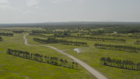 blueberry barrens planted in rows vast orbiting aerial