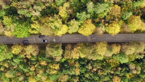 following a car driving through a beautiful autumn colored forest as a top shot from above by a drone