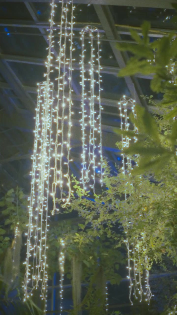 Cascading Fairy Lights Hanging in a Botanical Greenhouse