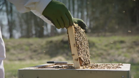 Imkerei-–-Imker-Tauscht-Nach-Inspektion-Im-Bienenhaus-Einen-Rahmen-Aus,-Totale