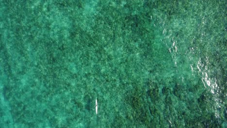 un kayak solitario remando en las tranquilas aguas turquesas del océano frente a la costa de españa
