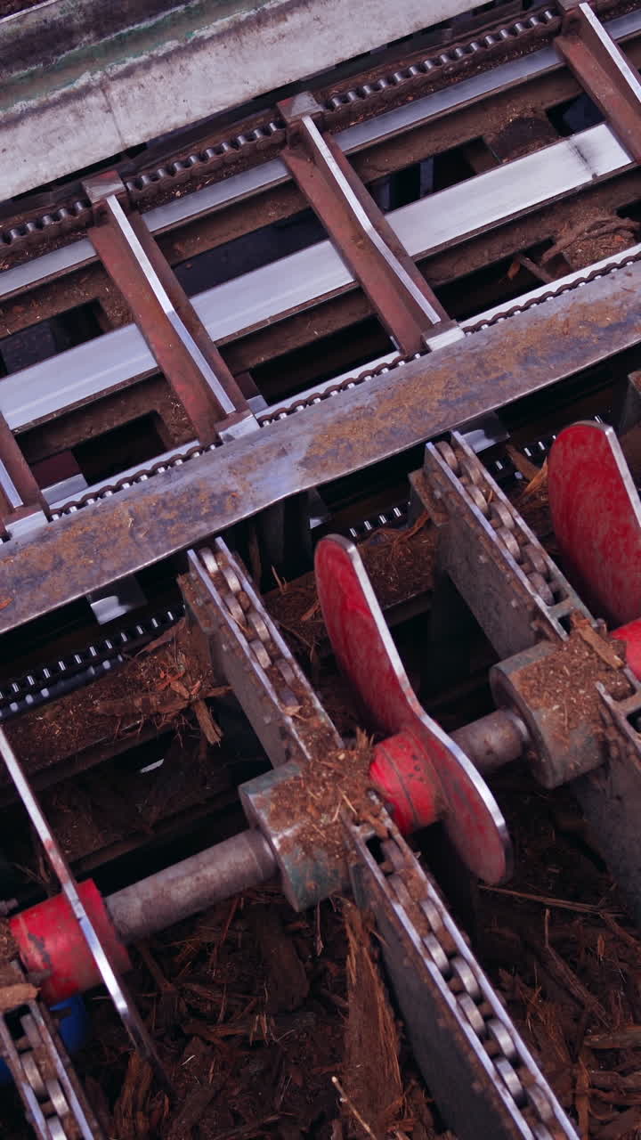 Sawmill. Process of removing bark from logs. Special machinery with conveyor. heavy technic at plant, Timber industry. View from the top. Vertical video