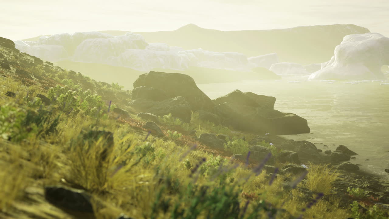 Calm shoreline with rocks and vegetation at golden hour by the water