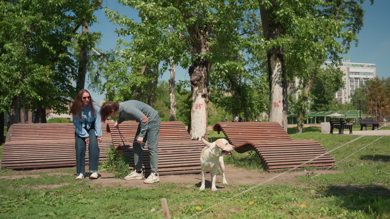 Unos amigos charlan tranquilamente en un banco del parque, una pareja pasea plácidamente con un compañero peludo al aire libre y un dúo amigable se relaja y disfruta de un paseo tranquilo con su mascota en un entorno natural.