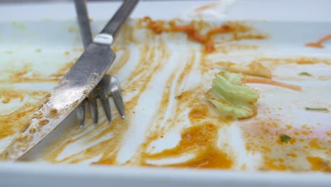 empty plate with leftovers