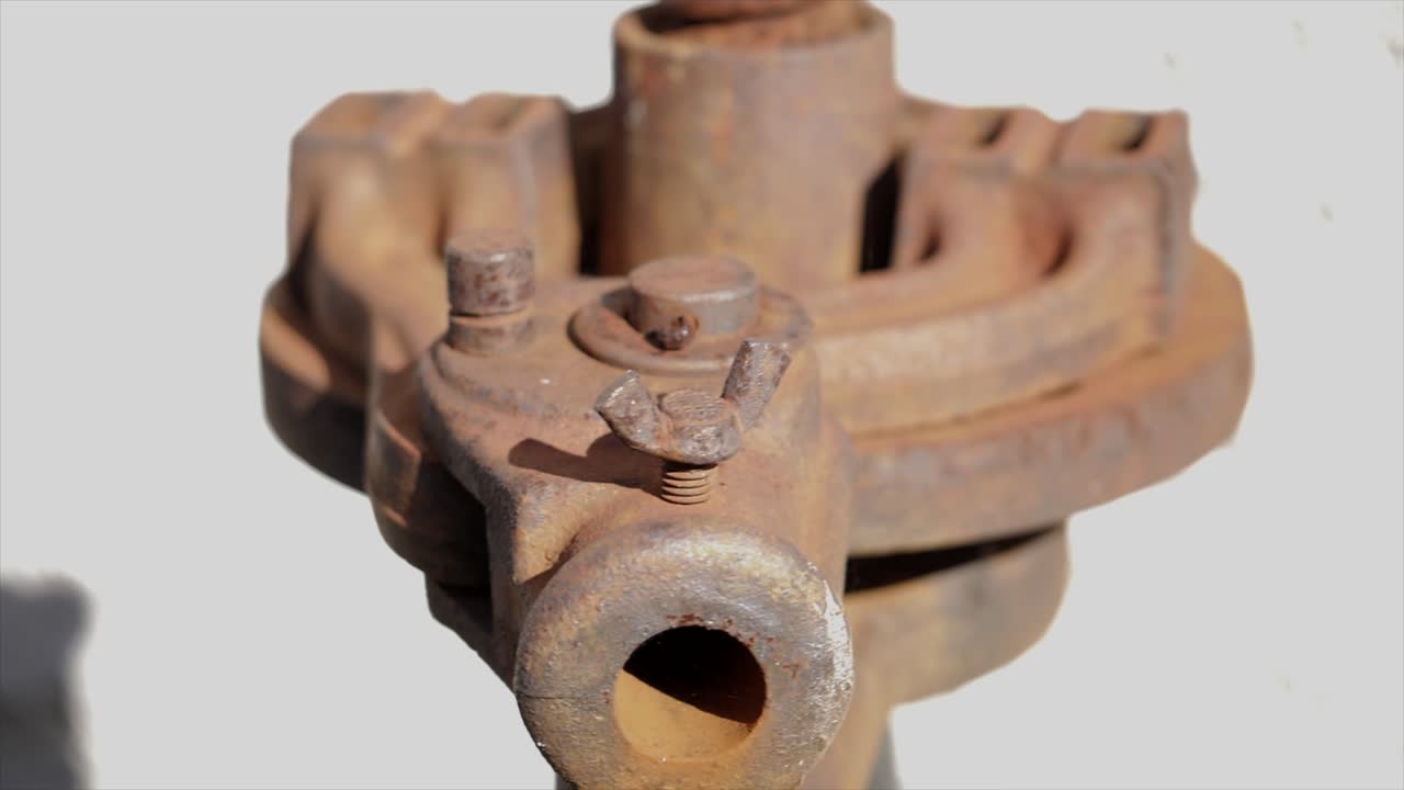 Venetian Elegance and Pisa's Leaning Legacy