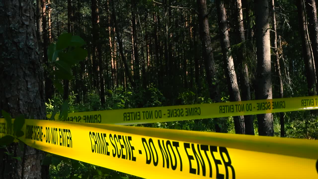Footage panning over a yellow crime scene tape ribbon with Do Not Enter writing on it in a sunny and dark forest area where an investigation is going on. dark tall trees and lush green leaves visible.
