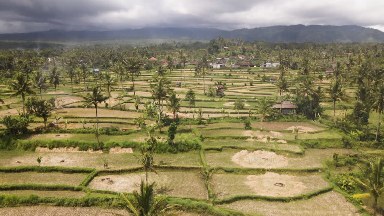 vista panorámica de los campos agrícolas con cocoteros y casas rurales en un día soleado