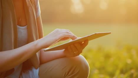 Bauernhände,-Die-Mit-Einer-Tablette-In-Der-Nähe-Junger-Maistriebe-Arbeiten