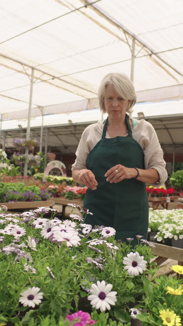 Signora anziana che fa giardinaggio in serra