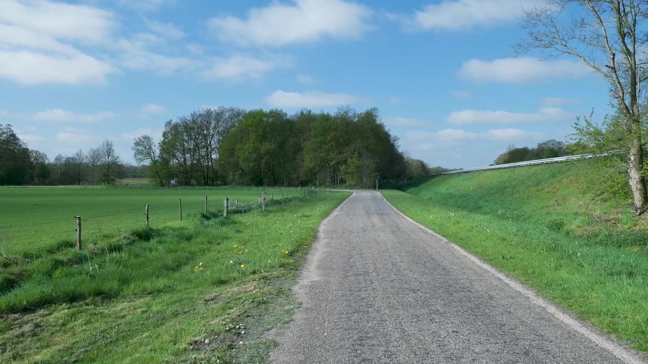Strada di campagna vuota attraverso campi verdi e alberi