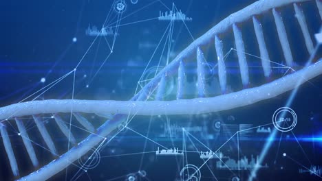 Animation-Der-DNA-Struktur-über-Ein-Netzwerk-Von-Verbindungen-Und-Datenverarbeitung-Auf-Blauem-Hintergrund
