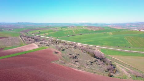 Forward-drone-shot-over-green-fields-and-clear-skies