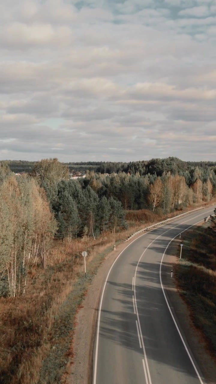 Filmato drone di una strada rurale tortuosa che attraversa un bosco autunnale con alberi misti e campi aperti, cielo coperto e atmosfera serena, concetto di viaggio e trasporto.