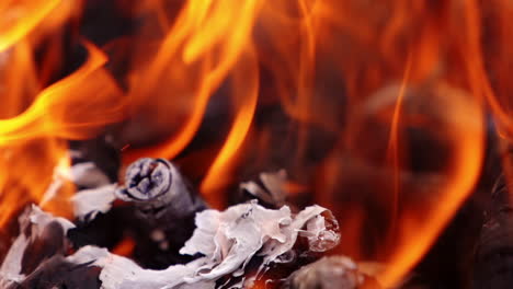 orange flame background. beautiful motion of vivid fire flame over the wooden logs. charcoals in bright fire. close-up. slow motion.