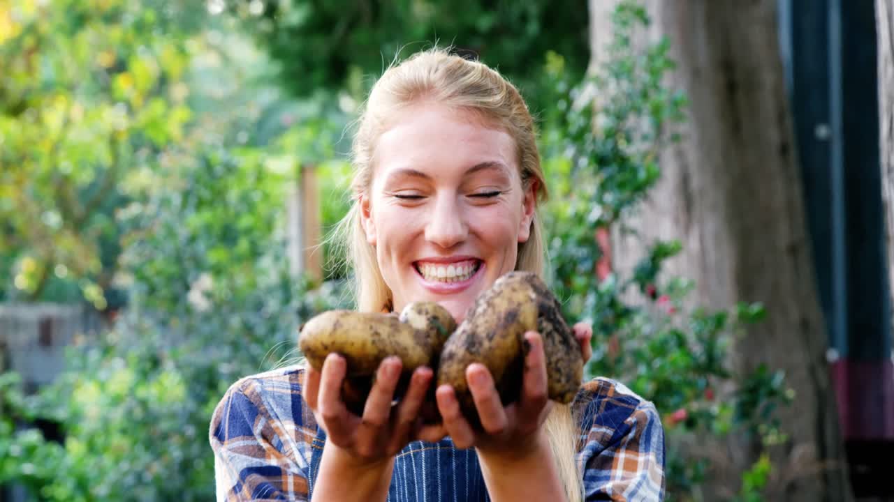 jardinero feliz sosteniendo patatas recién cultivadas