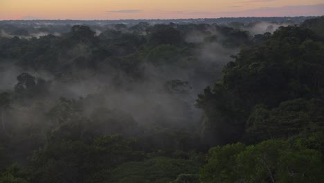 slow right to left pan of tambopata national reserve covered in morning mist