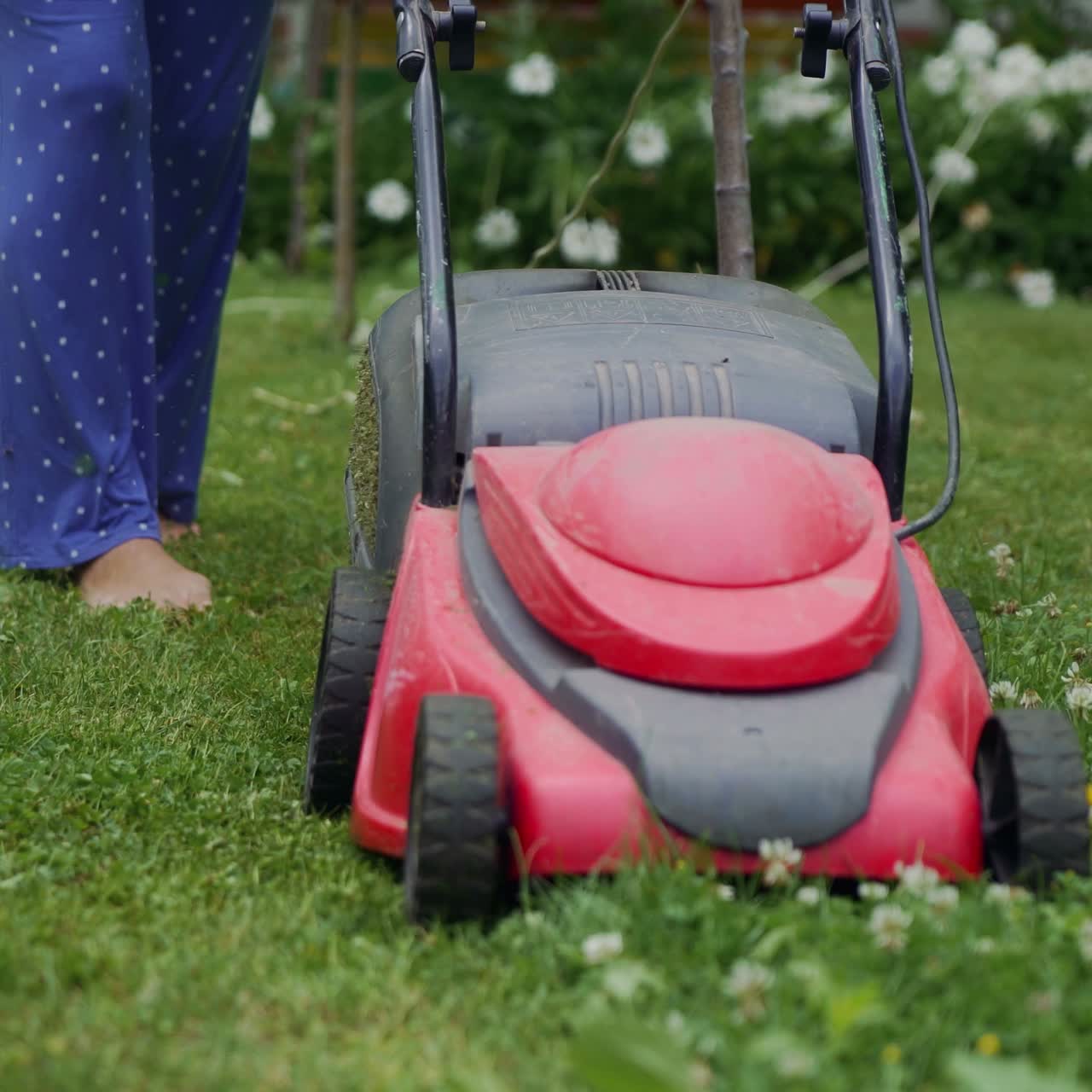 woman cutting grass in his yard with corded electric lawn mower.