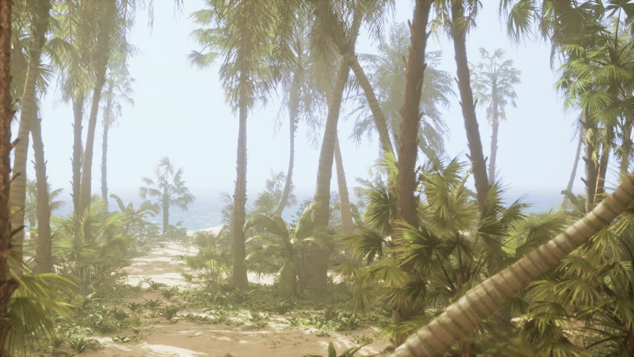 Tropical beach with palm trees