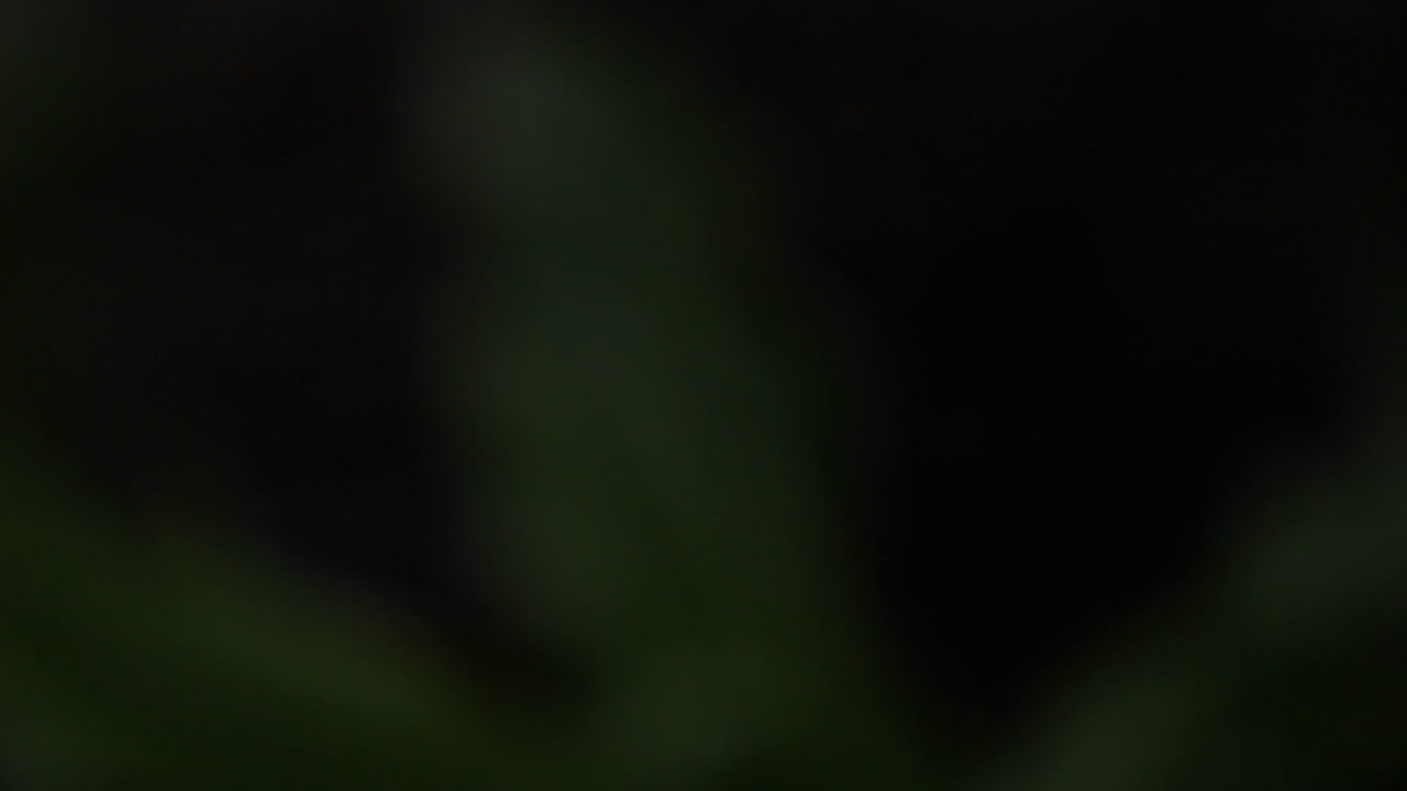 하얀 꽃에 작은 빗방울이 뿌려져