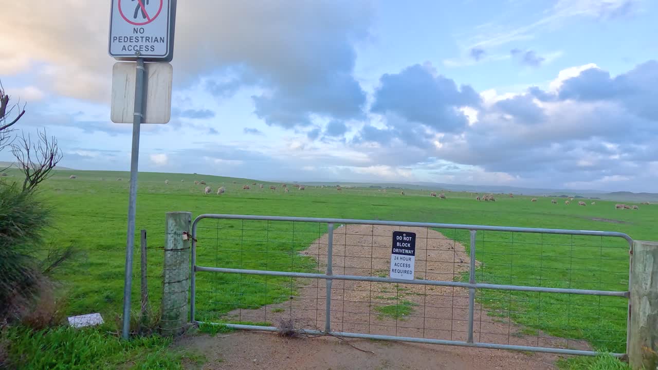 은 파란 하늘과 산란한 구름을 가진 양 들판을 특징으로 하는 조용한 풍경, 자연의 낮빛으로 포착