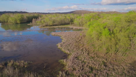 Lush-Vegetation-Surrounding-Lake-Sequoyah-In-Fayetteville,-AR,USA---drone-shot