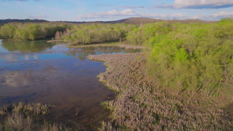 lush vegetation surrounding lake sequoyah in fayetteville, ar,usa - drone shot