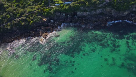 Rocas-Bajo-El-Agua-Azul-Clara-De-La-Bahía-De-Gordon-Cerca-De-La-Playa-En-Coogee,-Nsw,-Sydney,-Australia