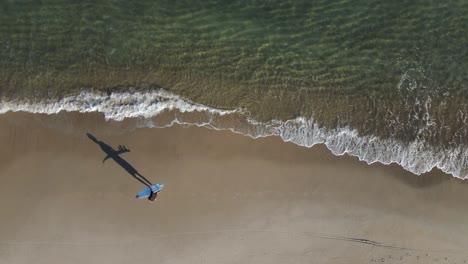 lonely surfer walking with surfboard on beach, shadow on sand