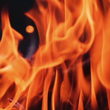 burning fire. bonfire. closeup of flames burning on black background, slow motion