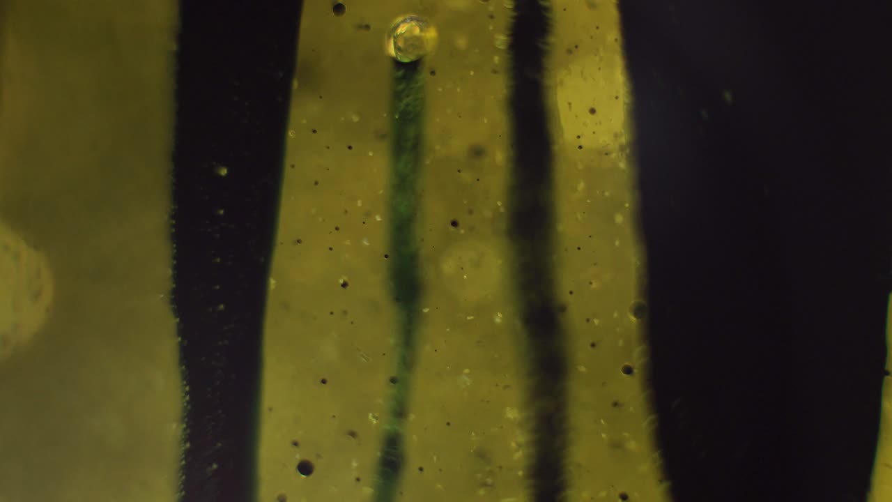 Slime goo science bubbles dude experiment