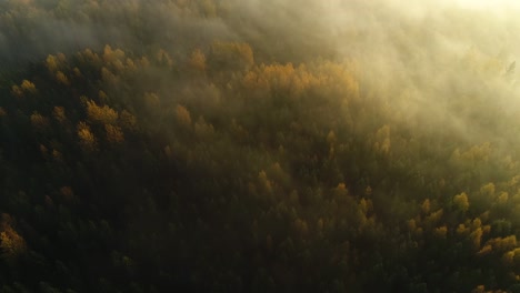 Saisonale-Waldluftaufnahme-Im-Herbst-Und-Sonnenlicht-Am-Frühen-Morgen-Mit-Nebel
