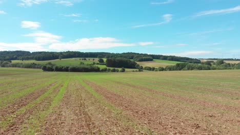 Fliegen-über-Ländliche-Landschaft-Und-Landwirtschaft