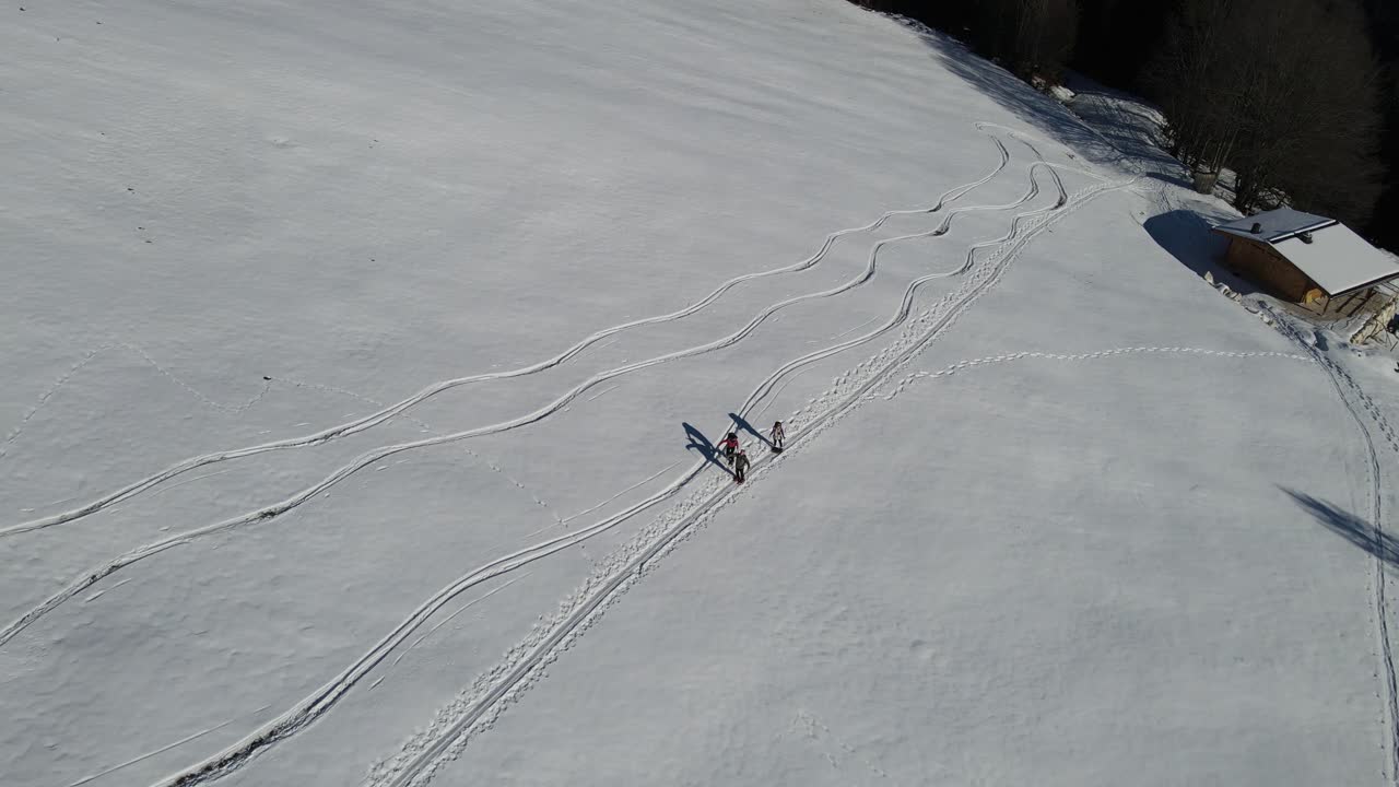 toma aérea de un grupo de excursionistas con raquetas de nieve en las montañas de austria