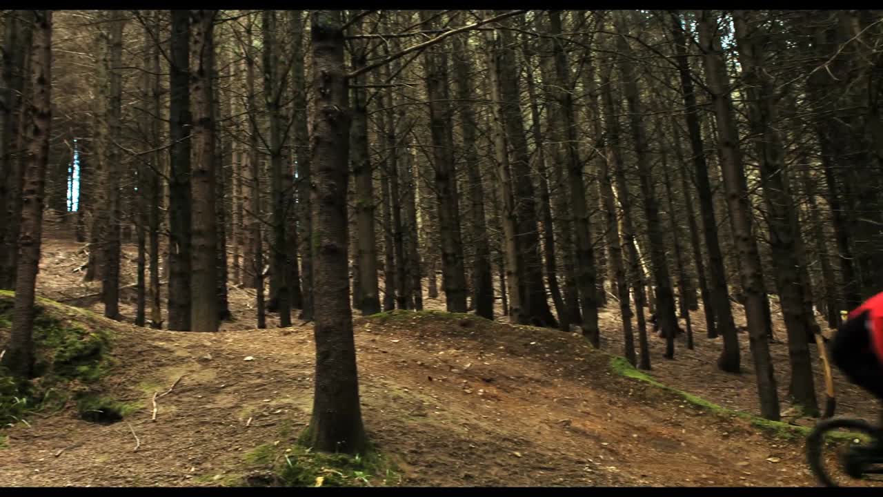 motociclista de montaña montando una bicicleta en el bosque