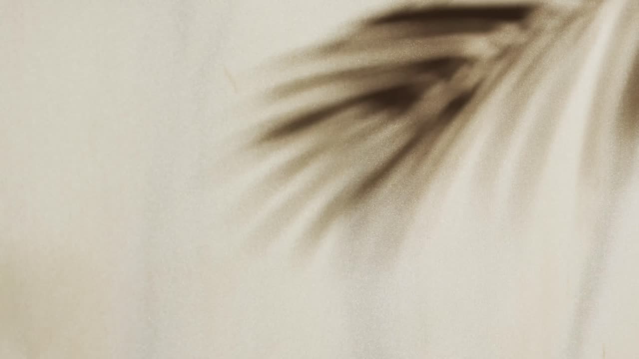 Animation of shadow of palm tree leaf moving with copy space over white fabric background