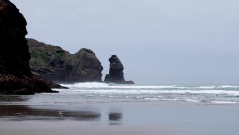 piha beach black beach, rocky outcrop and ocean waves on a grey, overcast rainy winters day in auckland, new zealand