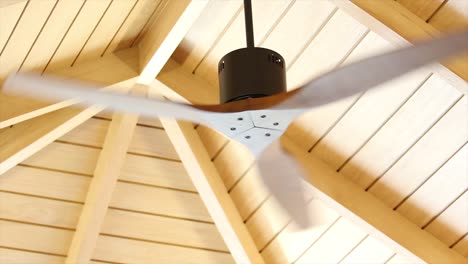 ceiling fans