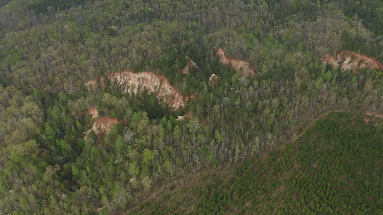 providence canyon georgia aerial v2 вращающийся снимок леса с высоты птичьего полета - март 2020 г.