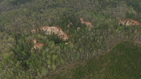 providence canyon georgia vista aérea v2 vista de pájaro toma giratoria de un bosque tomada desde lejos - marzo de 2020