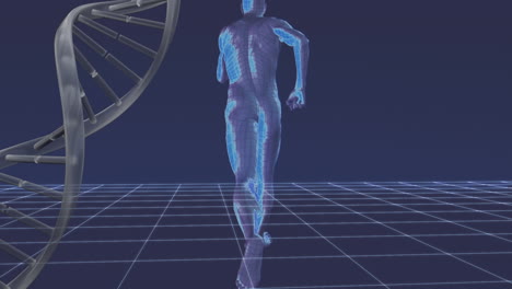 hombre digital corriendo en un ciberespacio con una hélice de adn en el fondo
