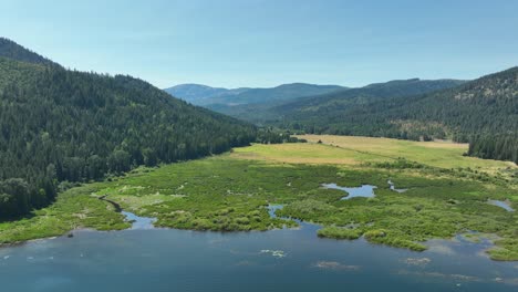 drone shot of the marsh land lining spirit lake, idaho's northern edge