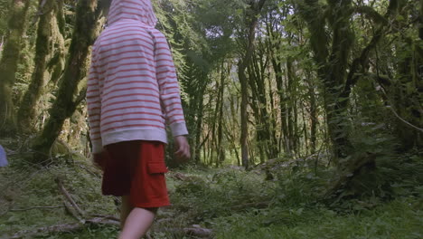 children hiking in the forest