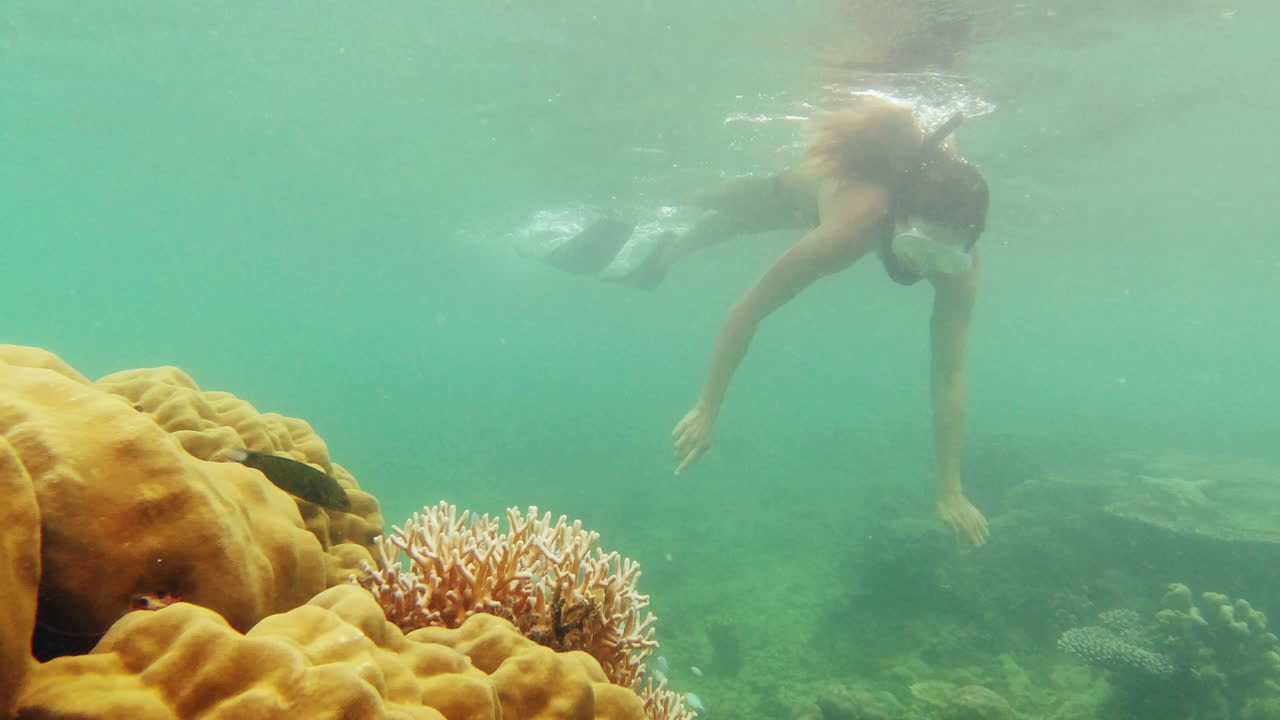 산호초 에서 스노클링 하는 여자