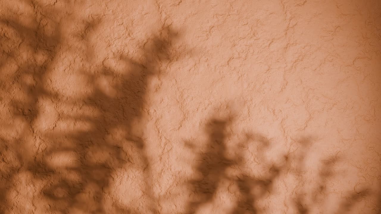 Shadow of plant branches on textured orange plaster wall. Minimal nature-inspired background with soft natural light and rough stucco surface. Design for wallpaper, banner, vertical