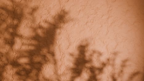 shadow of plant branches on textured orange plaster wall. minimal nature-inspired background with soft natural light and rough stucco surface. design for wallpaper, banner, vertical