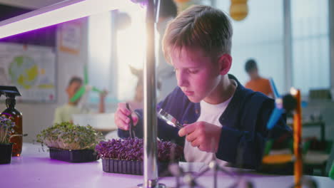 student observing microgreens with magnifying glass in a classroom